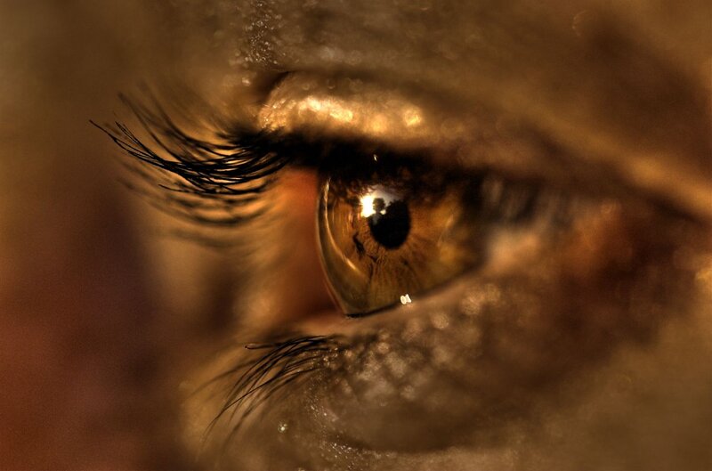 Close-up of a Brown Eye — Dramatic, Photograph, Eyelash