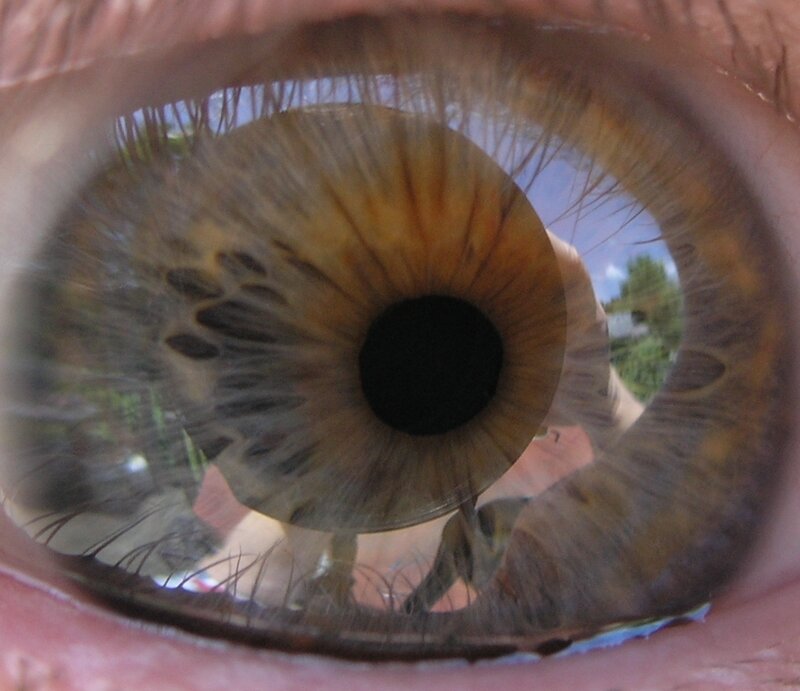 Close-up of a Brown Eye — Neutral, Photograph