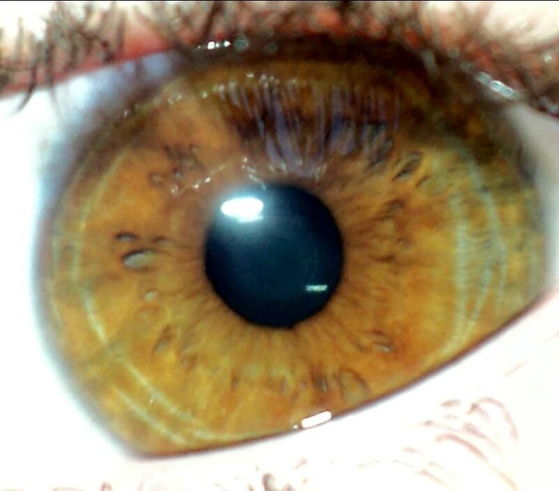 Close-up of a Brown Eye — Neutral