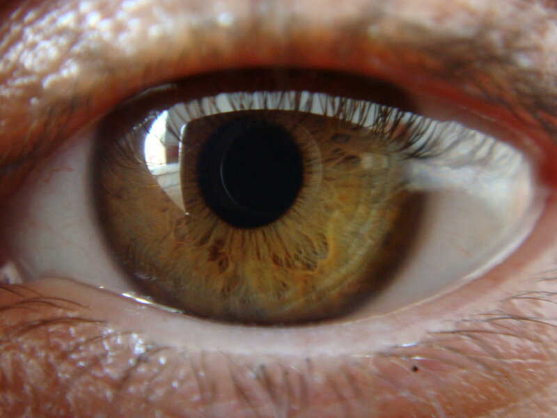 Close-up of a Brown Eye — Photograph