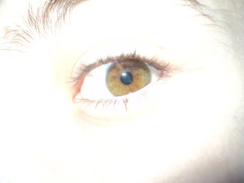 Close-up of a Brown Eye — White