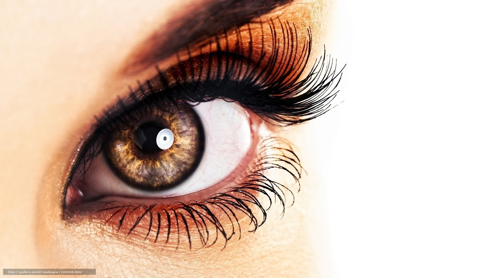 close-up of a brown eye