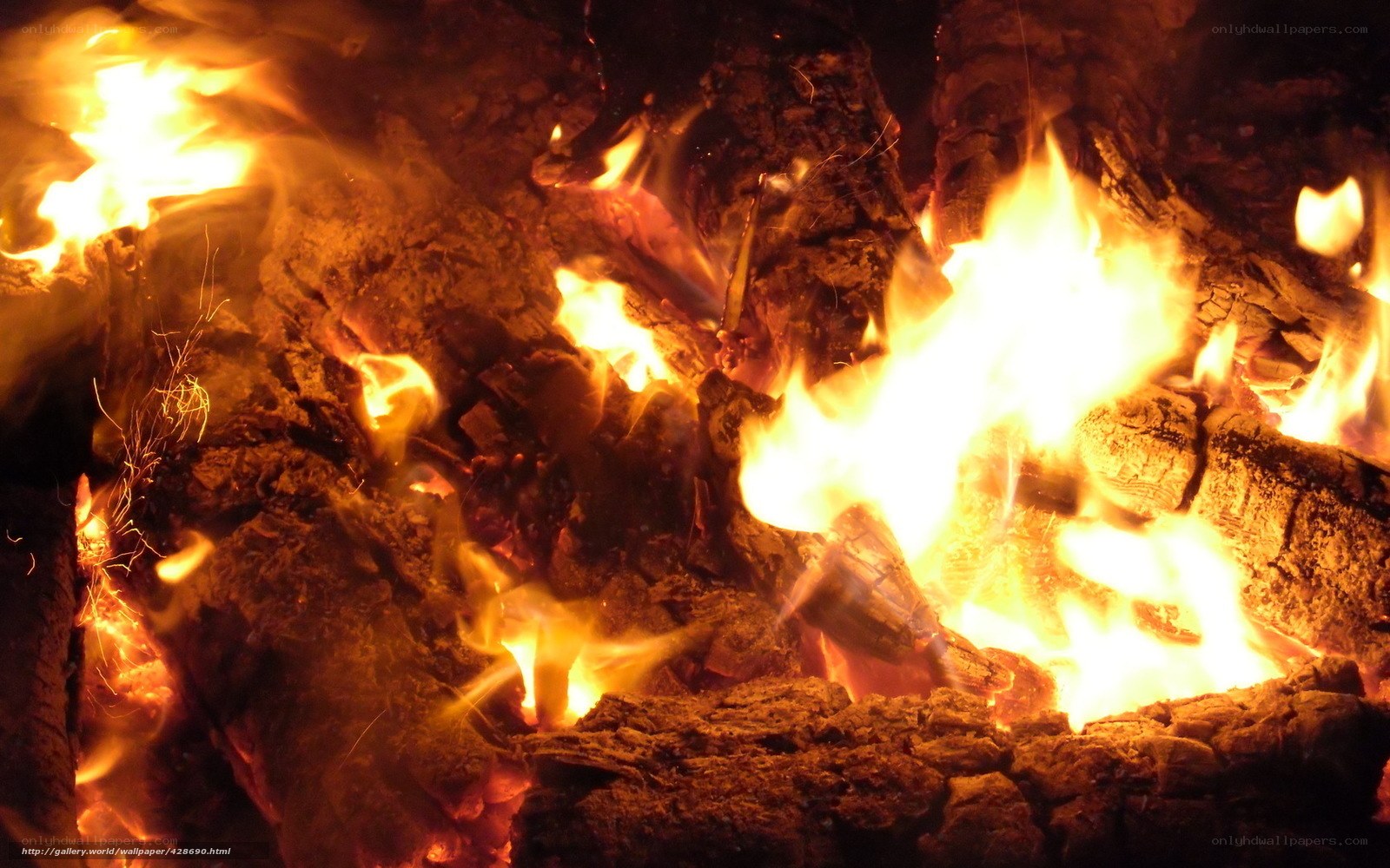 Close-up of a burning campfire