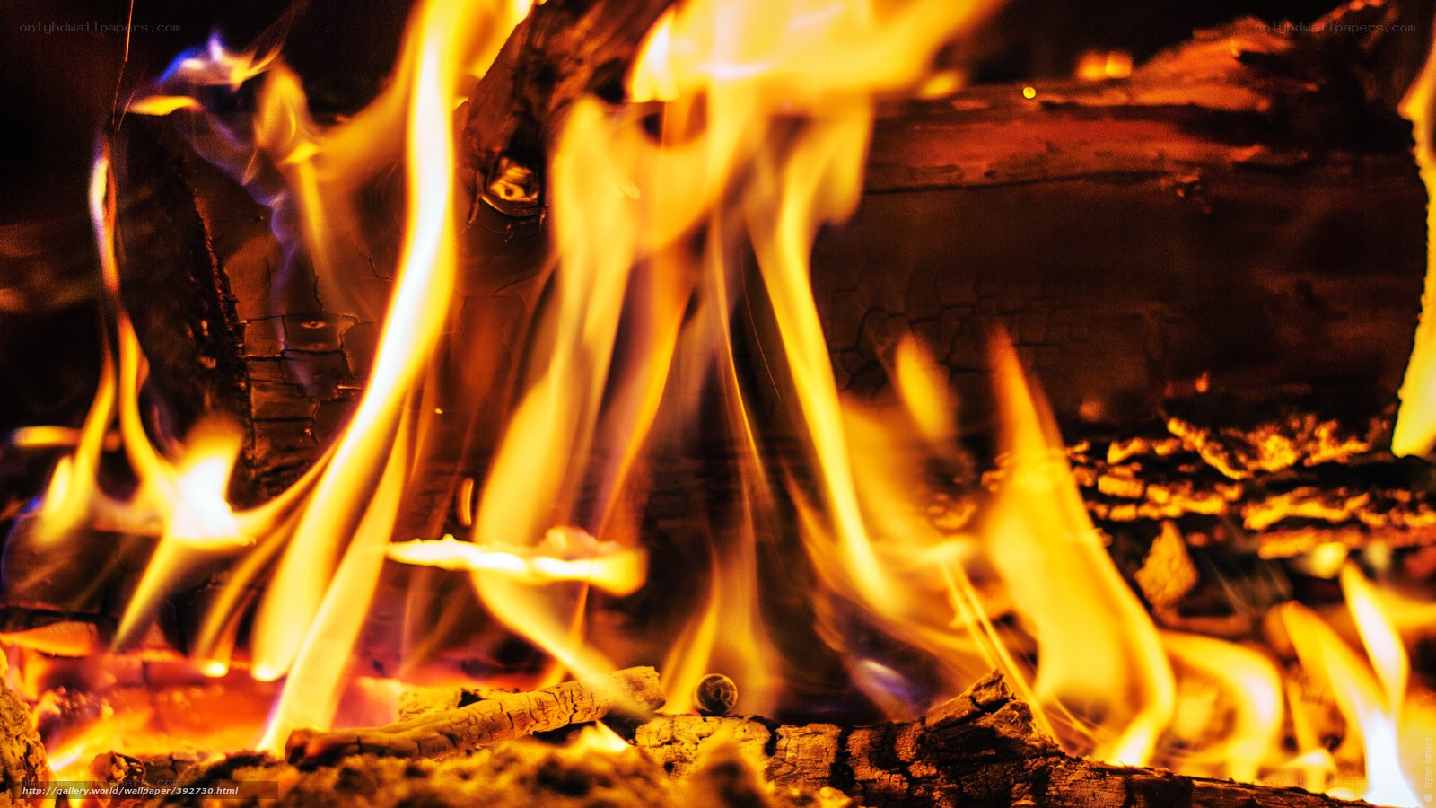 Close-up of a burning fire