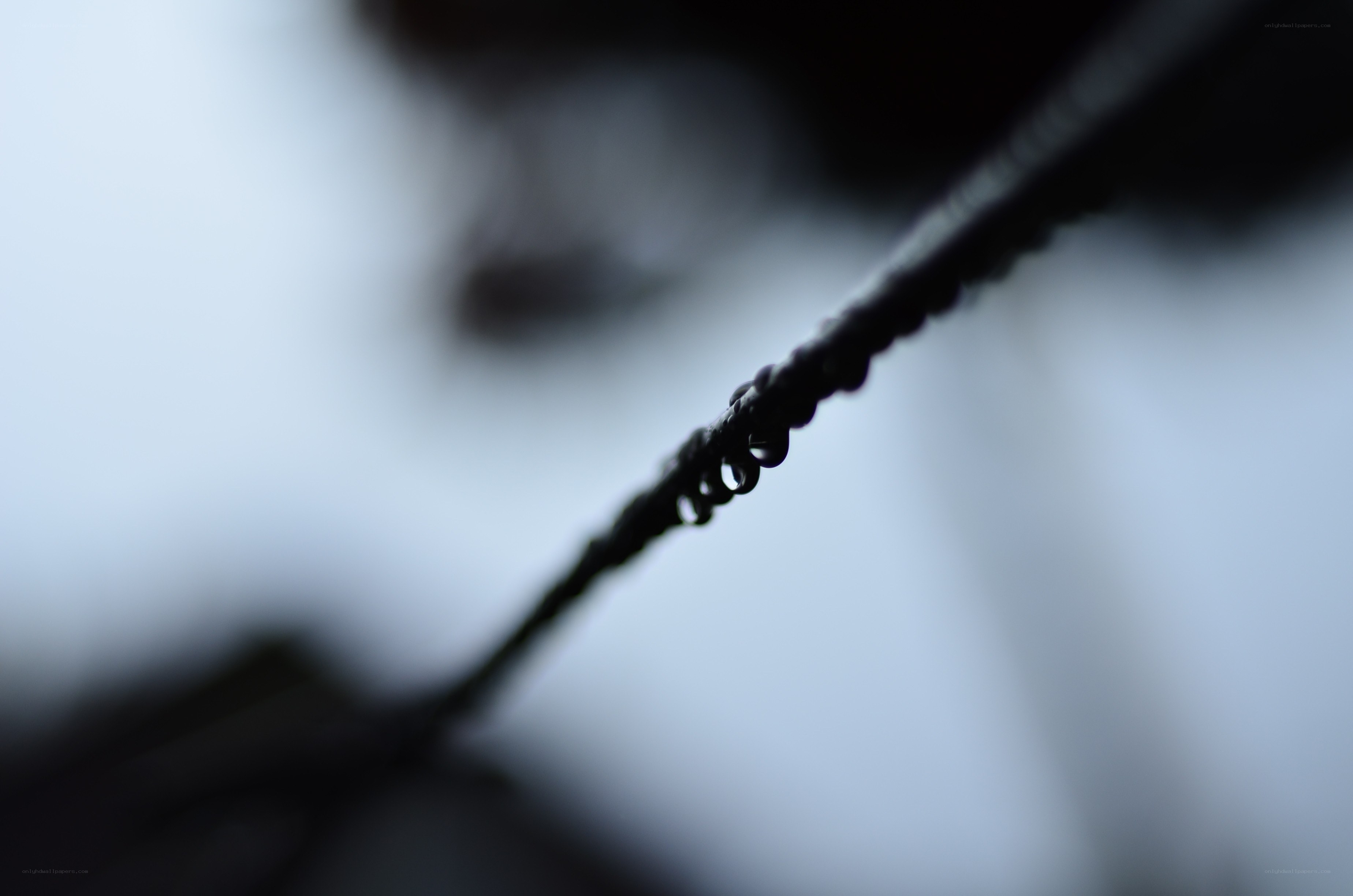 close-up of a cable