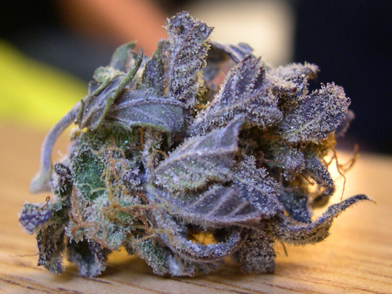 close-up of a cannabis bud