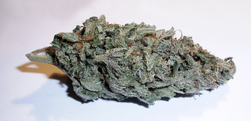 close-up of a cannabis bud