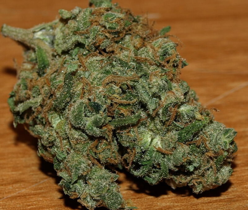 close-up of a cannabis bud