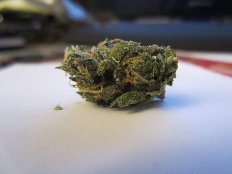 close-up of a cannabis bud