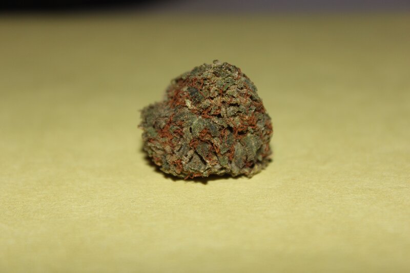 close-up of a cannabis bud