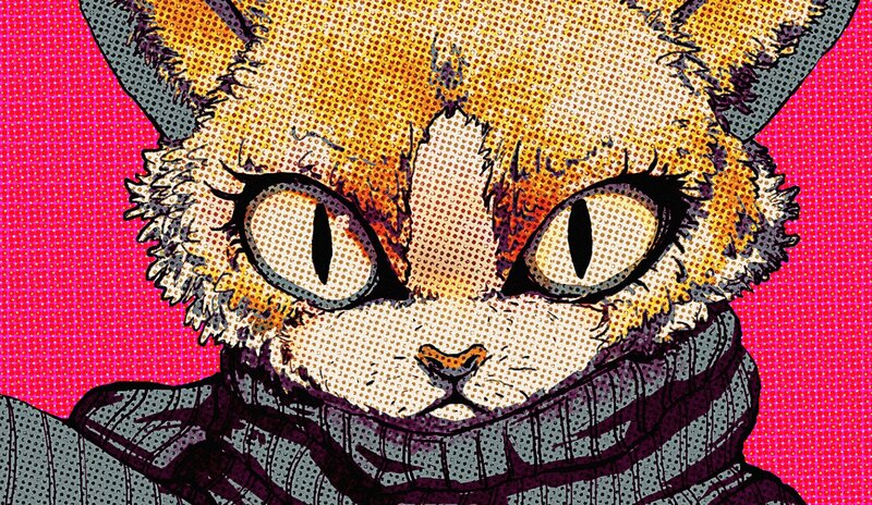 Close-up of a Cat — Pink