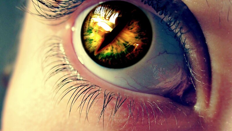 Close-up of a Cat's Eye — Green