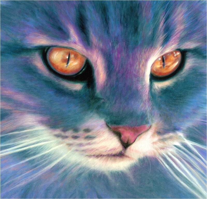 Close-up of a Cat's Face — Blue