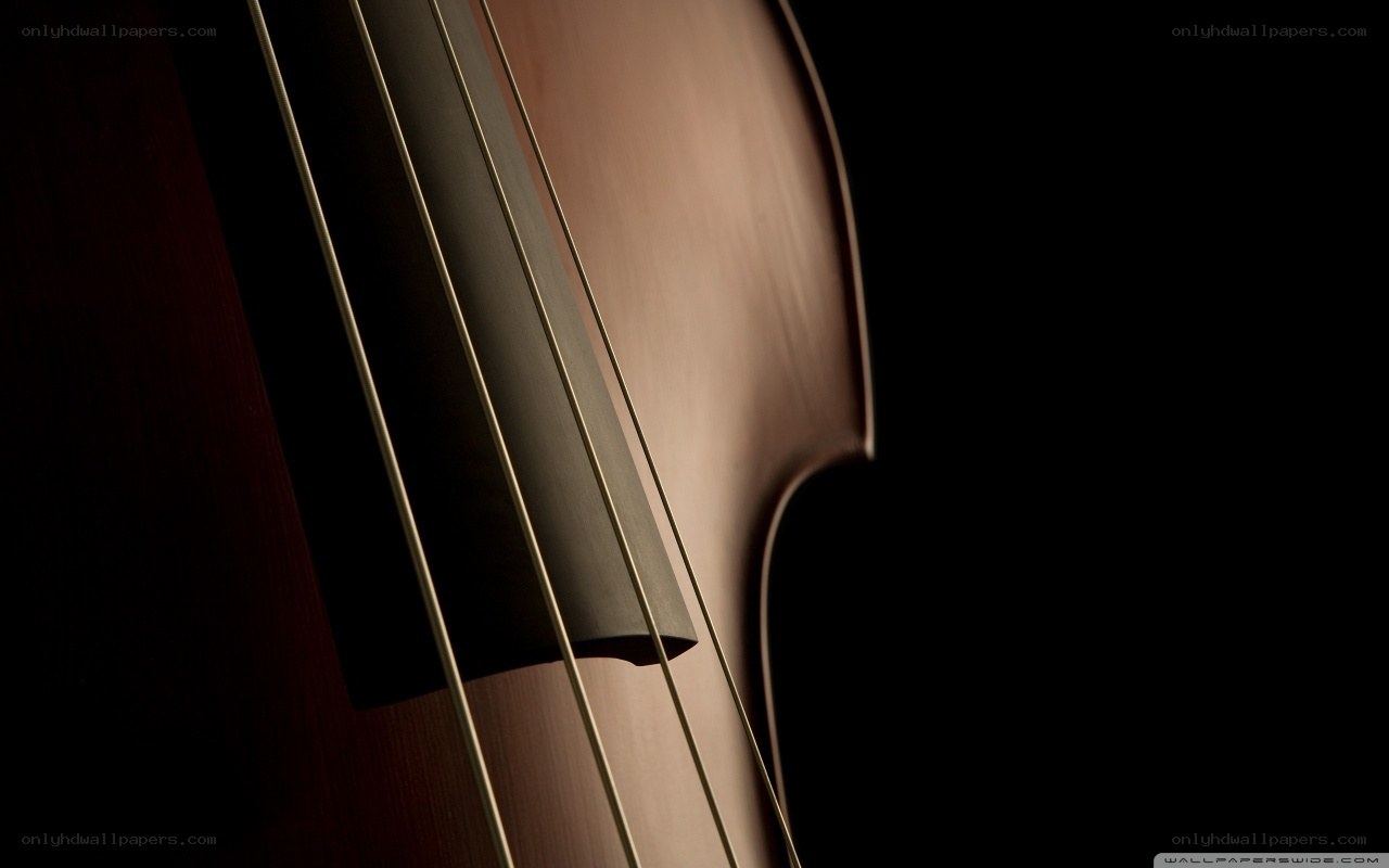 close-up of a cello