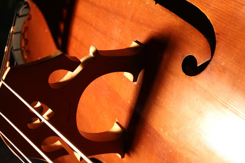 Close-up of a cello body
