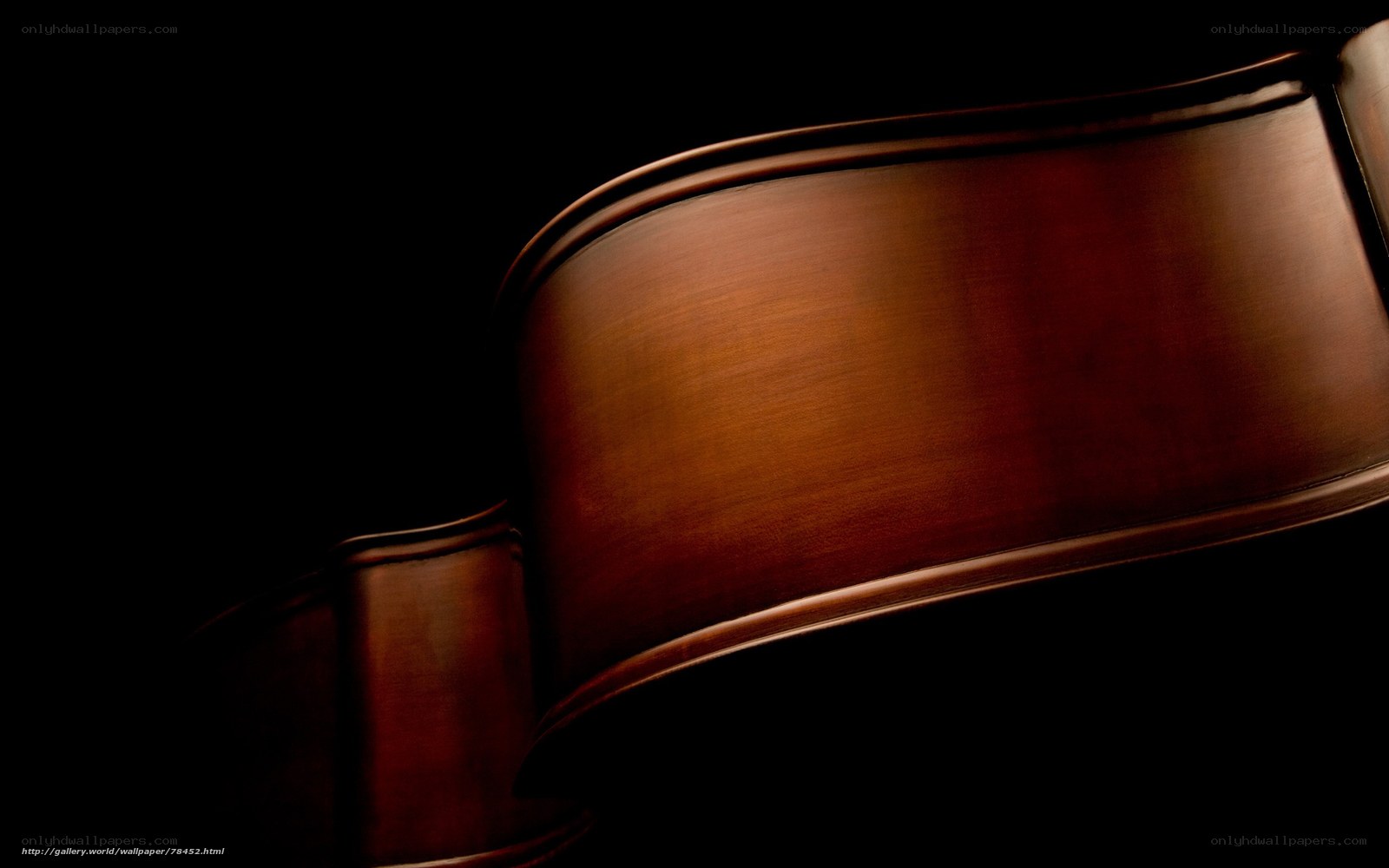 Close-up of a cello body
