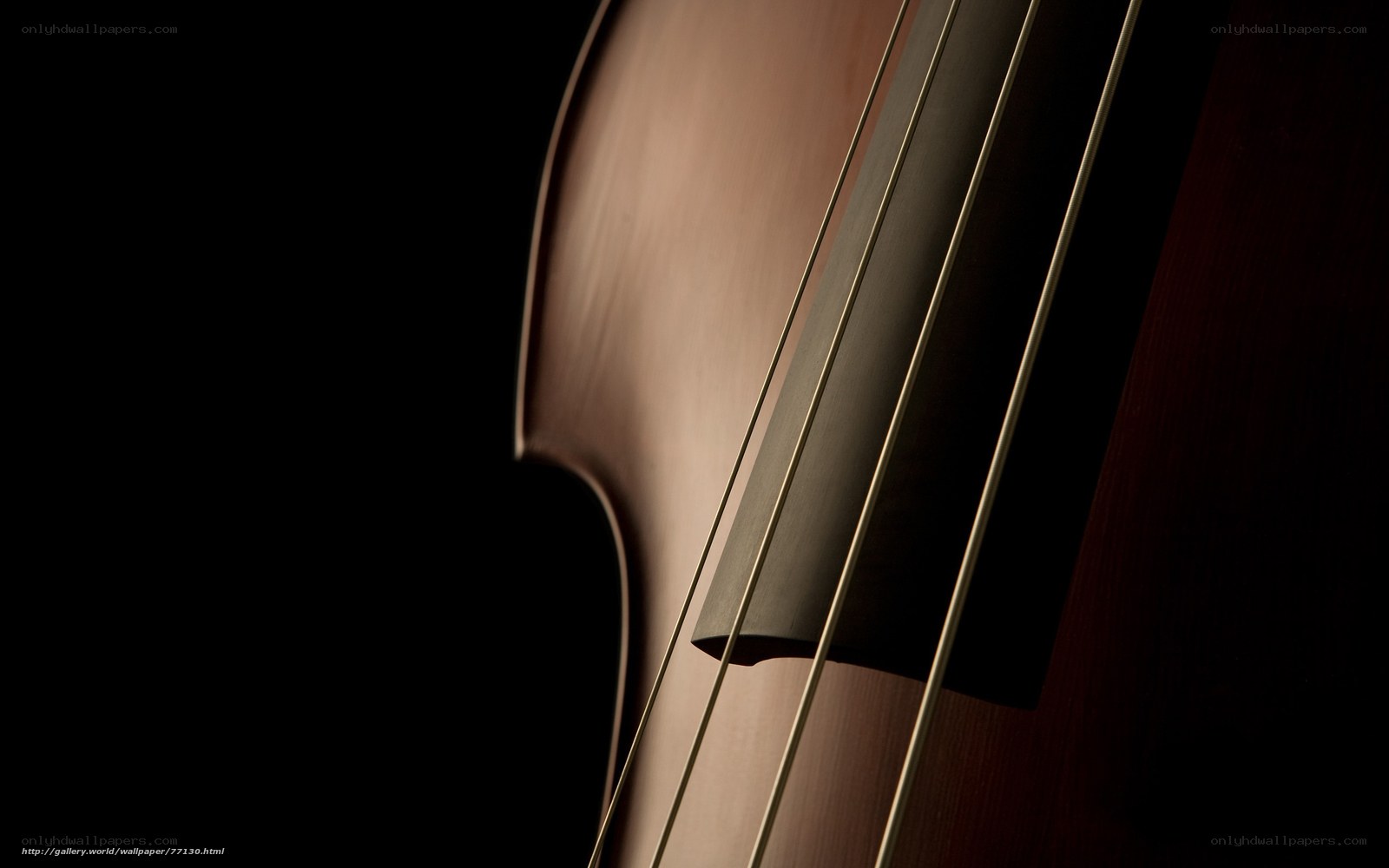 Close-up of a cello