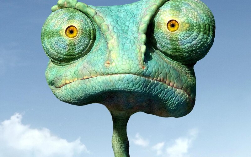close-up of a chameleon