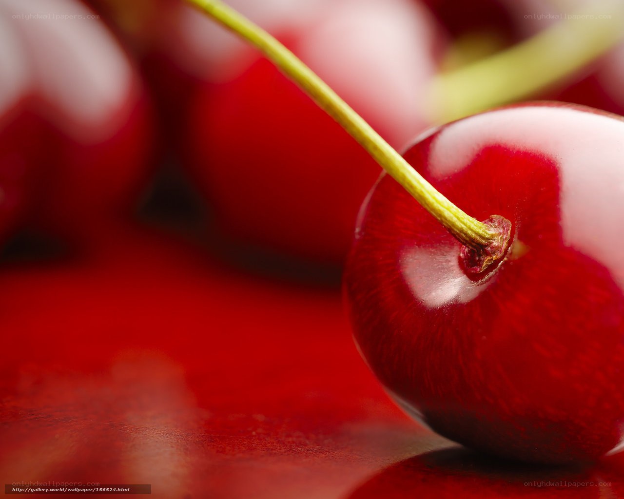 Close-up of a cherry