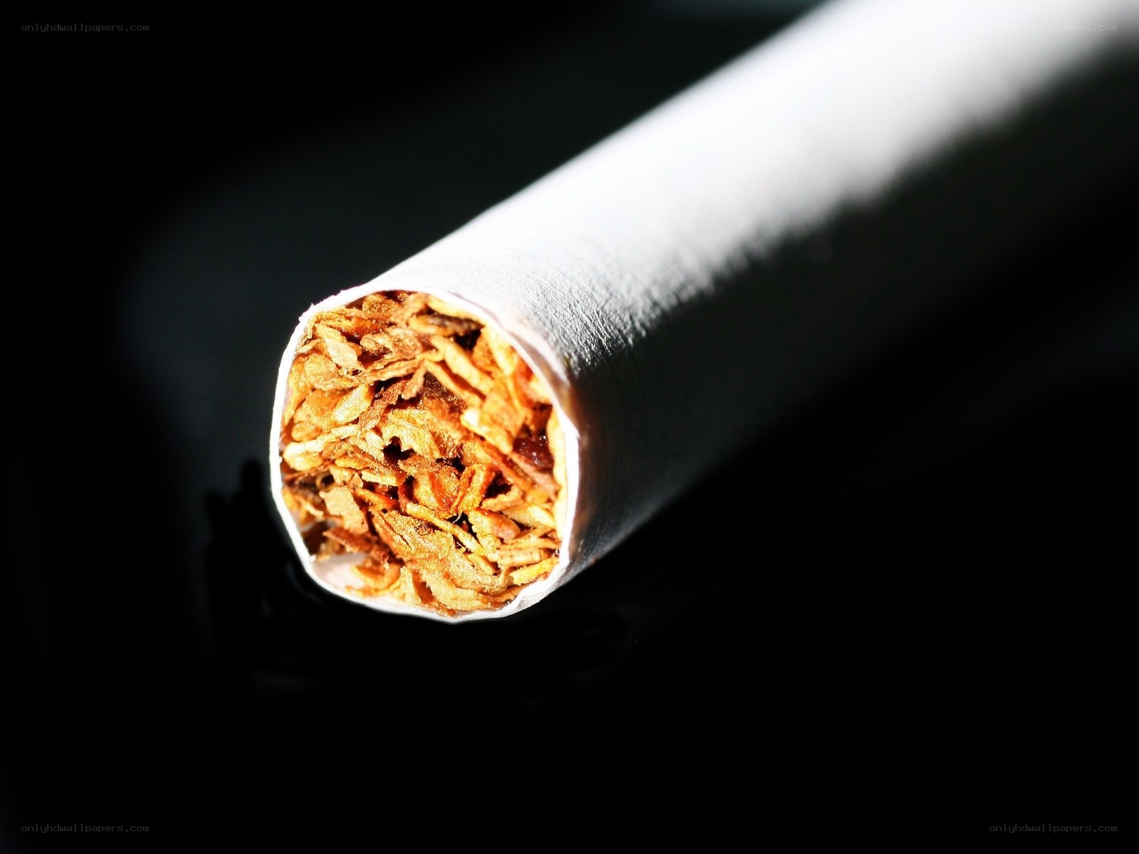 close-up of a cigarette