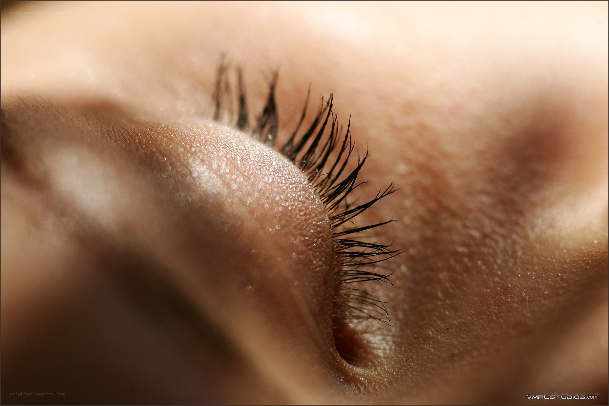 Close-up of a closed eye