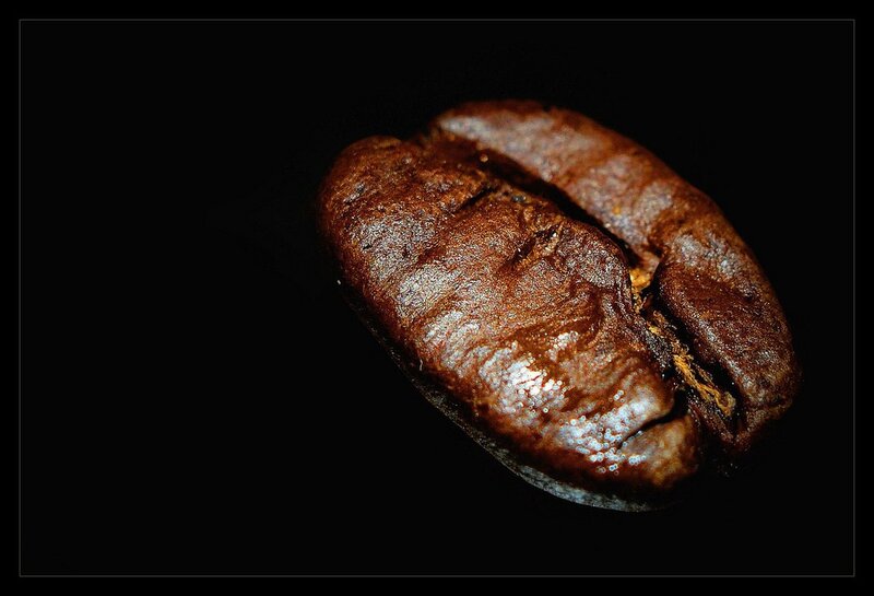 close-up of a coffee bean