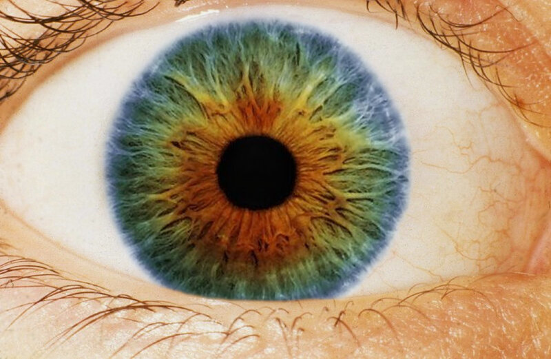close-up of a colorful eye