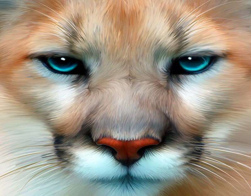 Close-up of a Cougar — Brown