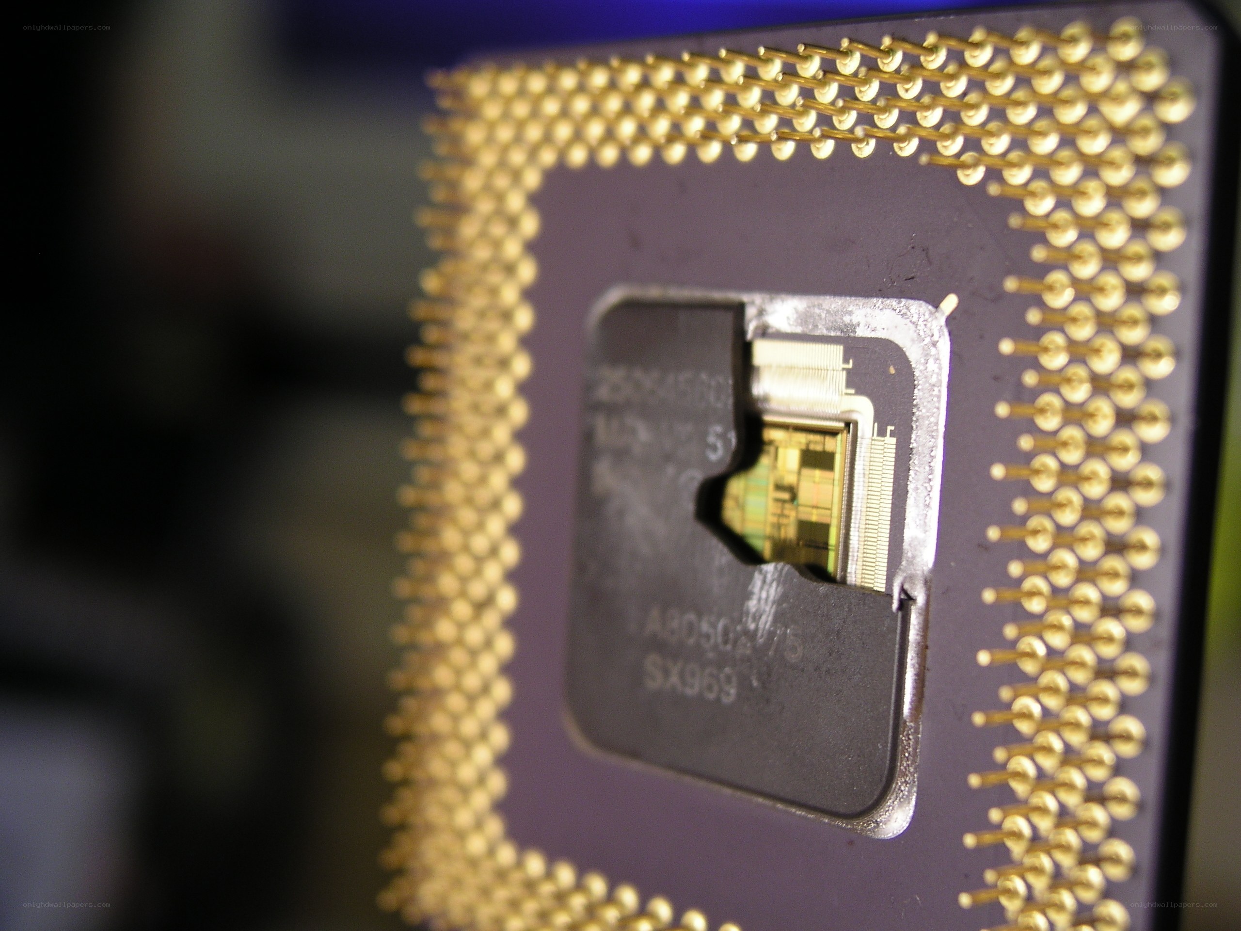 close-up of a CPU chip