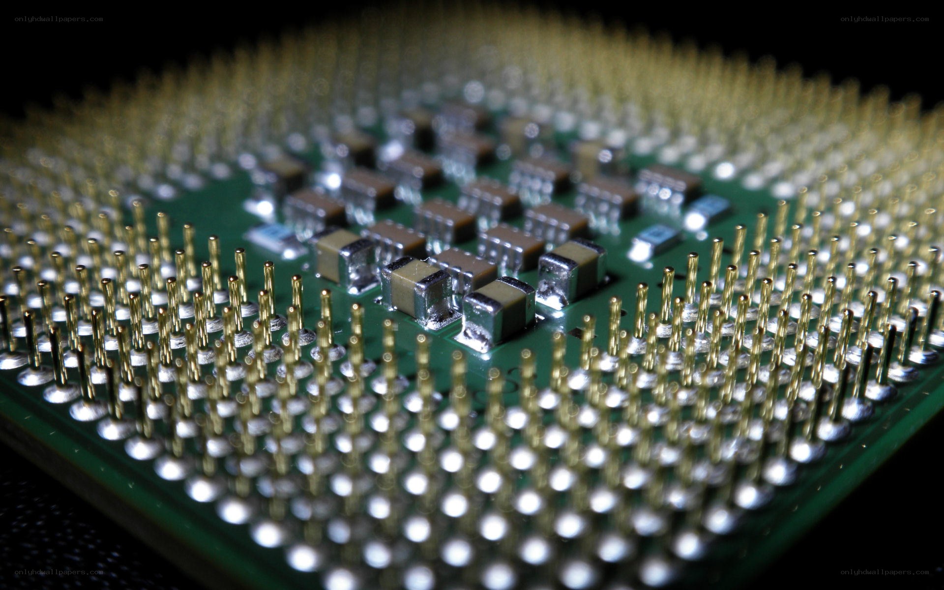Close-up of a CPU chip