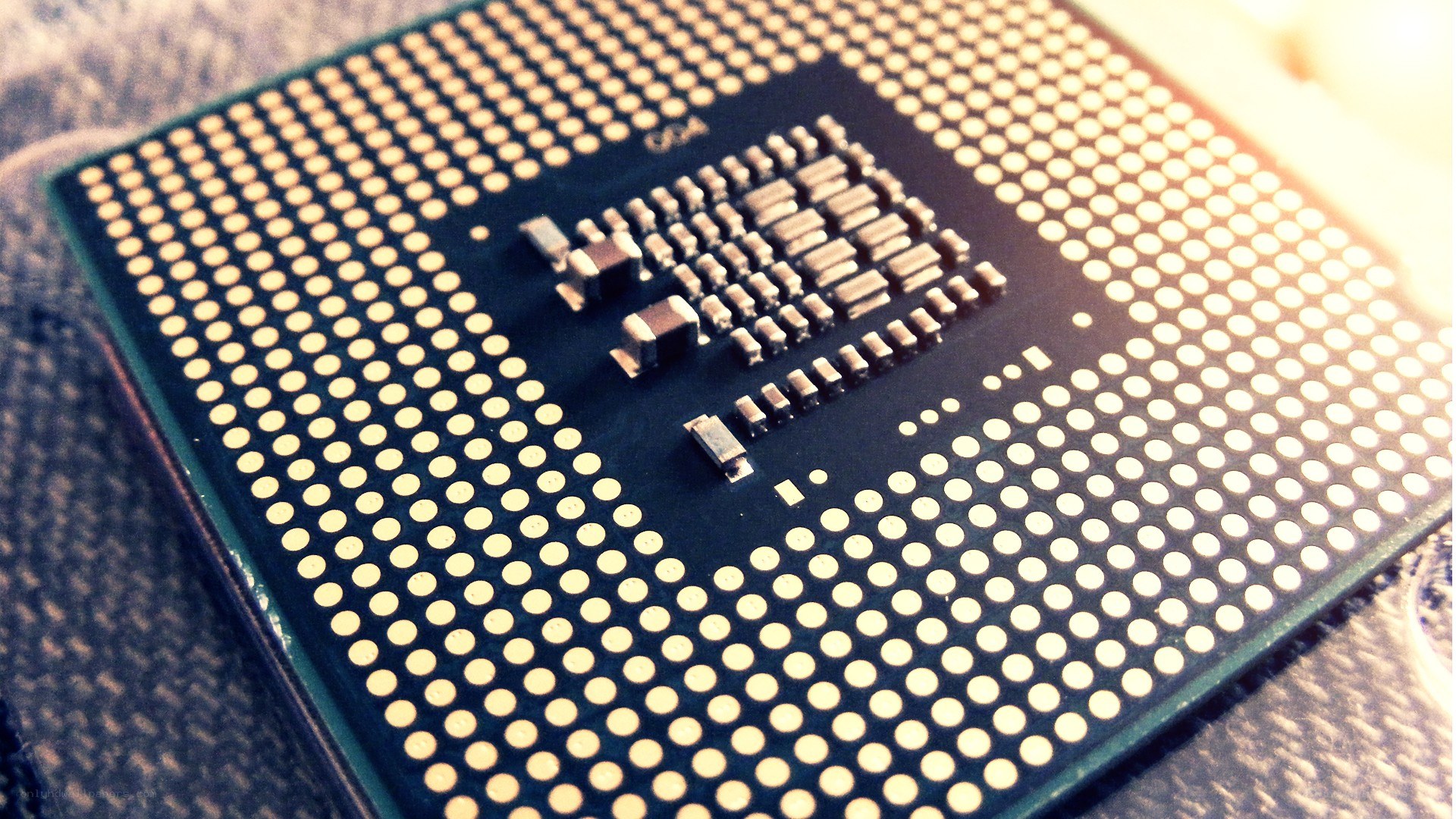 close-up of a CPU processor