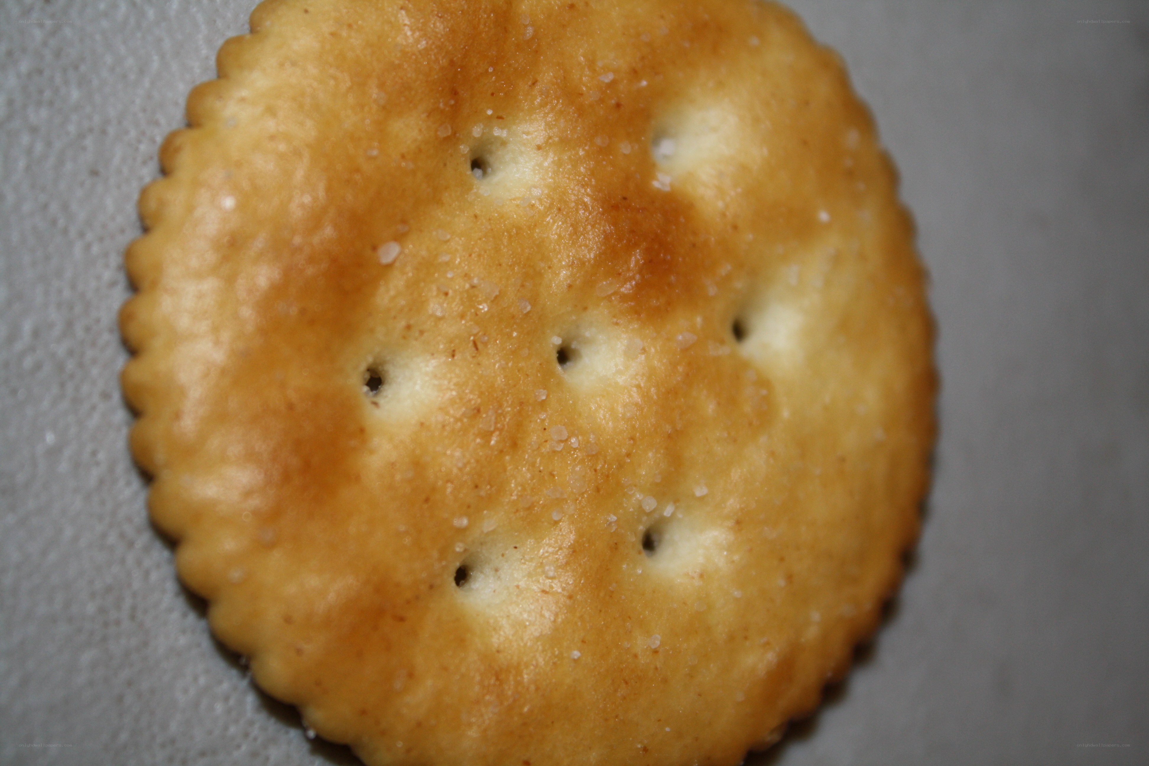 close-up of a cracker