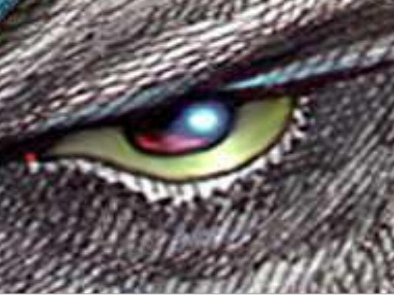 close-up of a creature's eye
