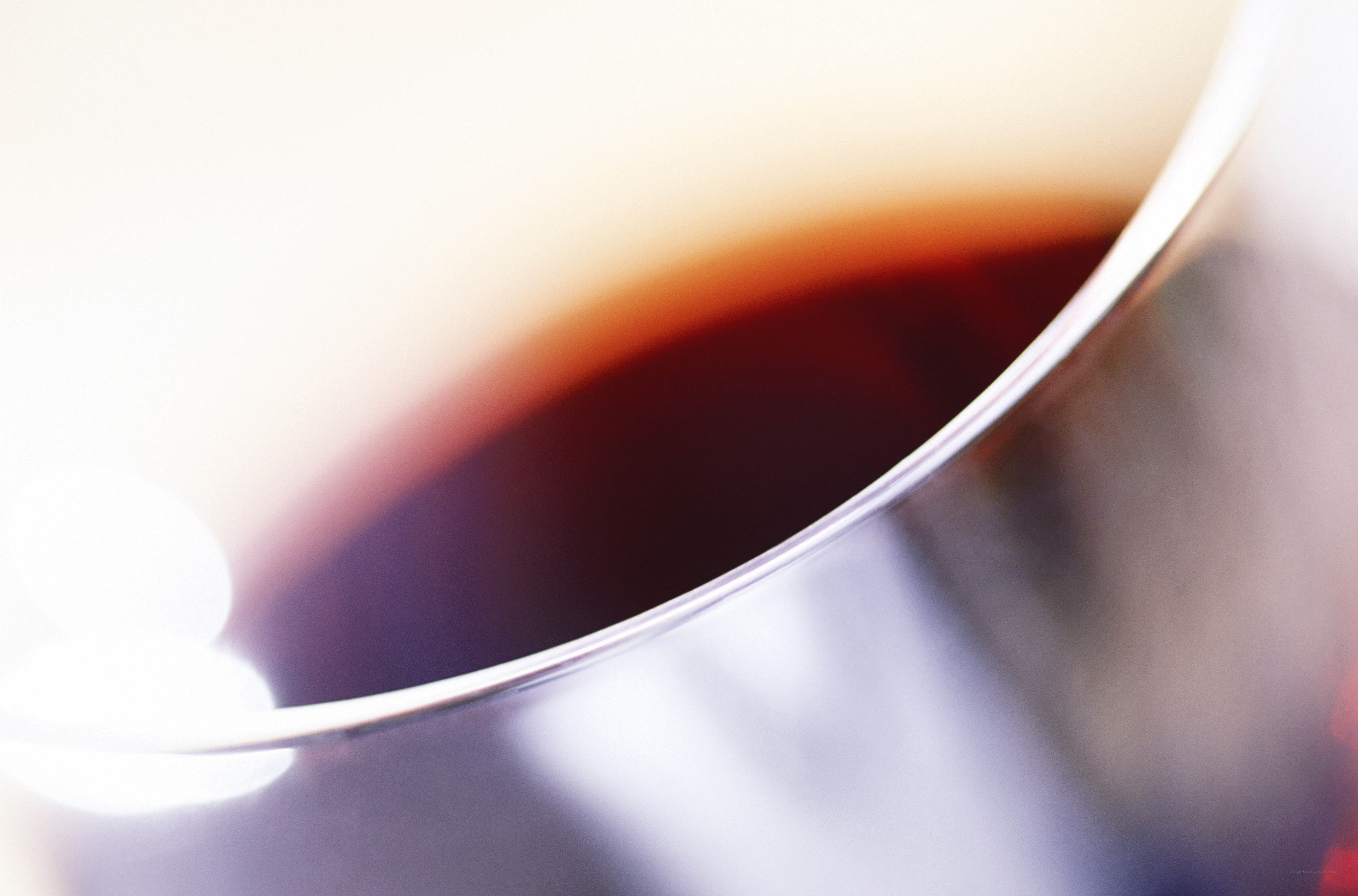 close-up of a cup of tea