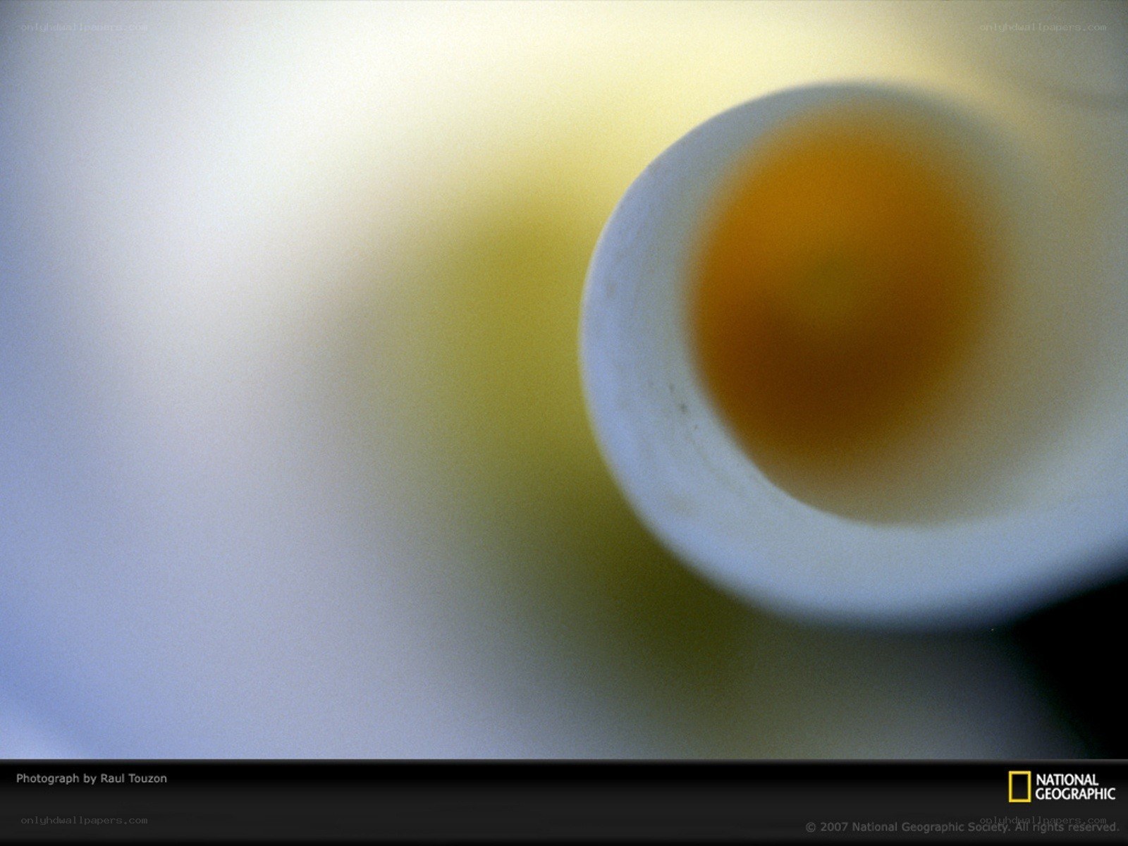 close-up of a cup