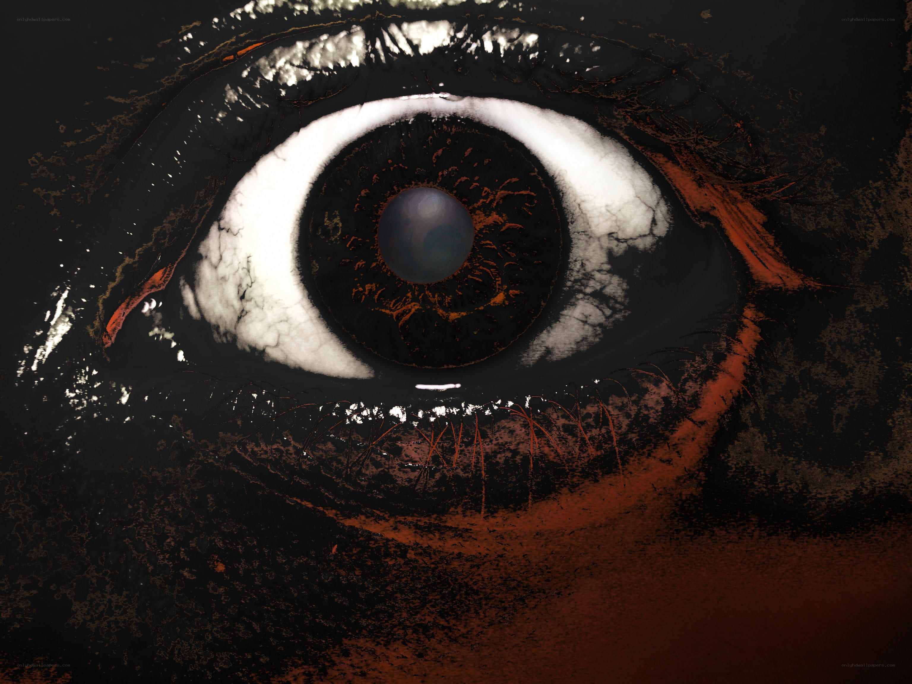 close-up of a dark eye