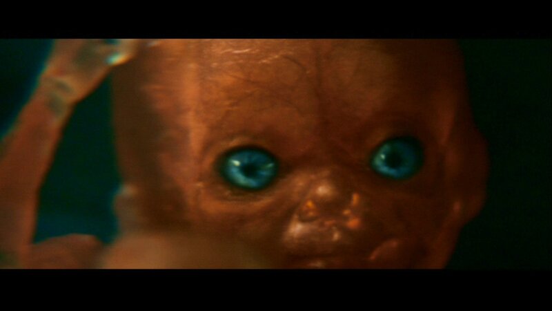 Close-up of a Doll's Face — Brown