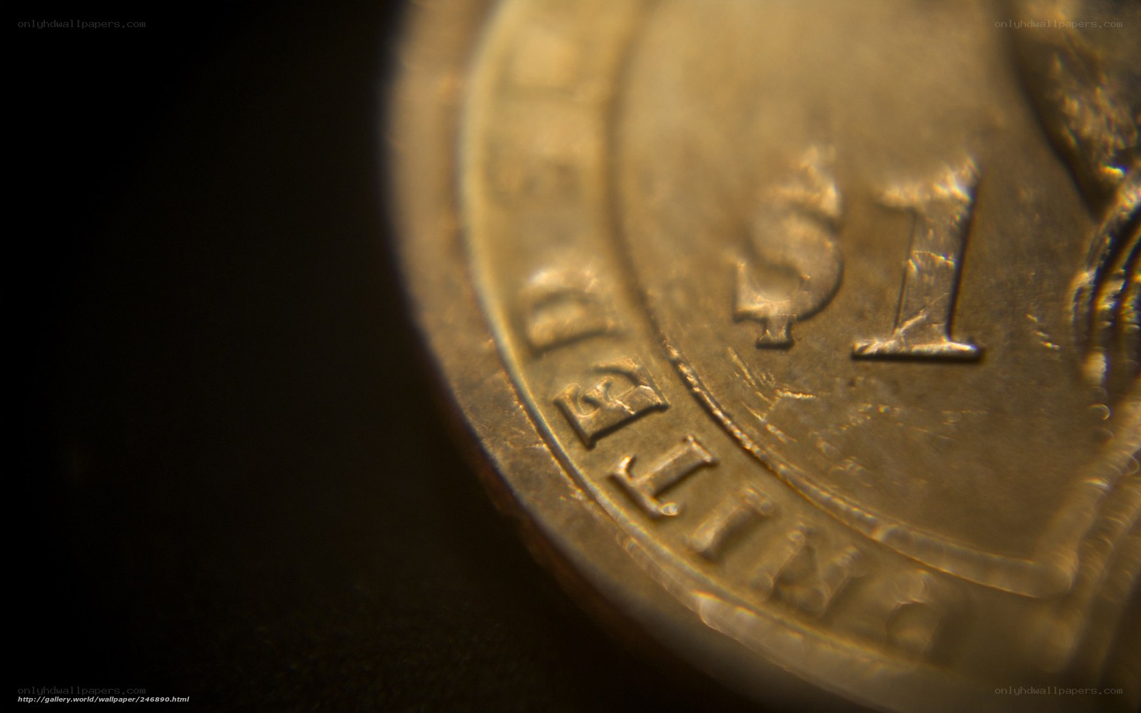 close-up of a dollar coin