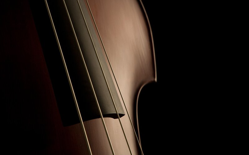 Close-up of a double bass