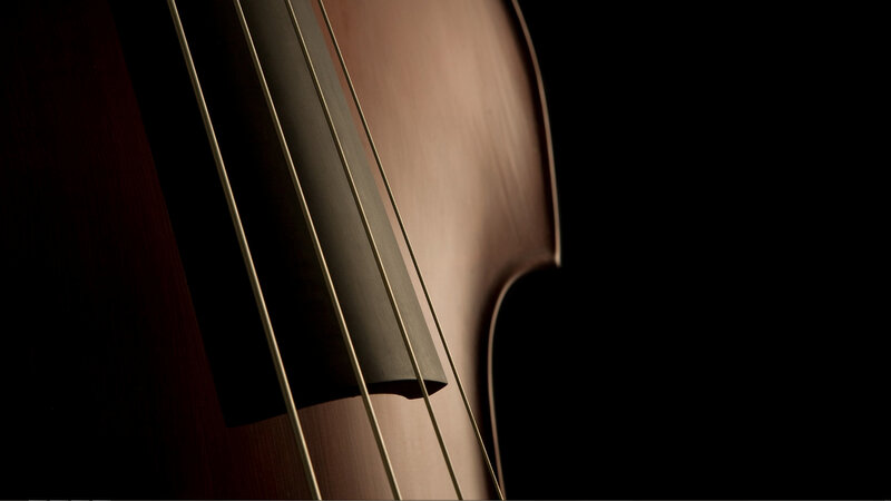 Close-up of a double bass