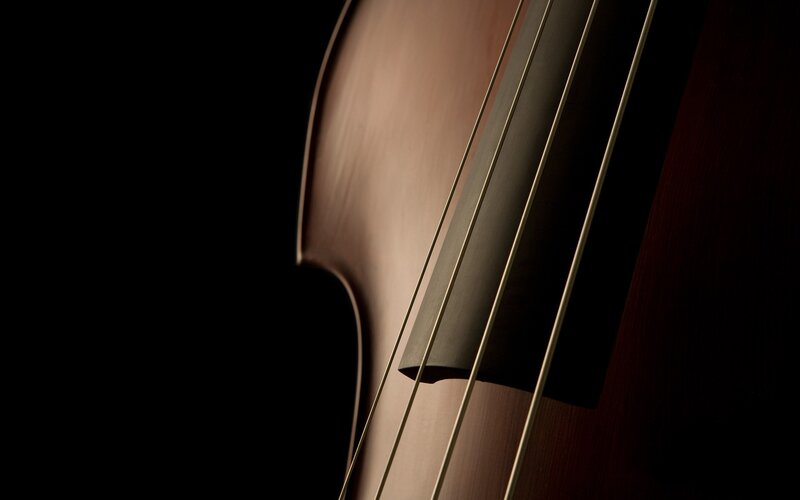 Close-up of a double bass