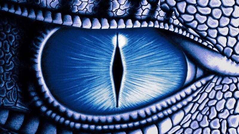 close-up of a dragon's eye