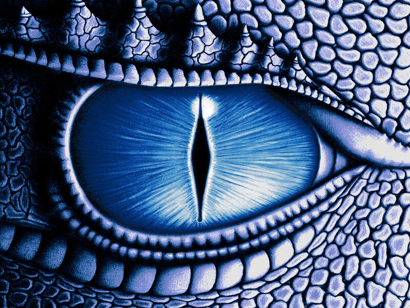 close-up of a dragon's eye