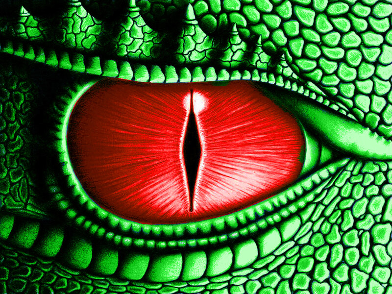 close-up of a dragon's eye