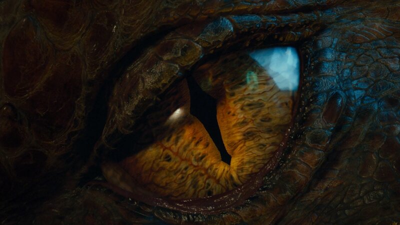 Close-up of a Dragon's Eye — Brown