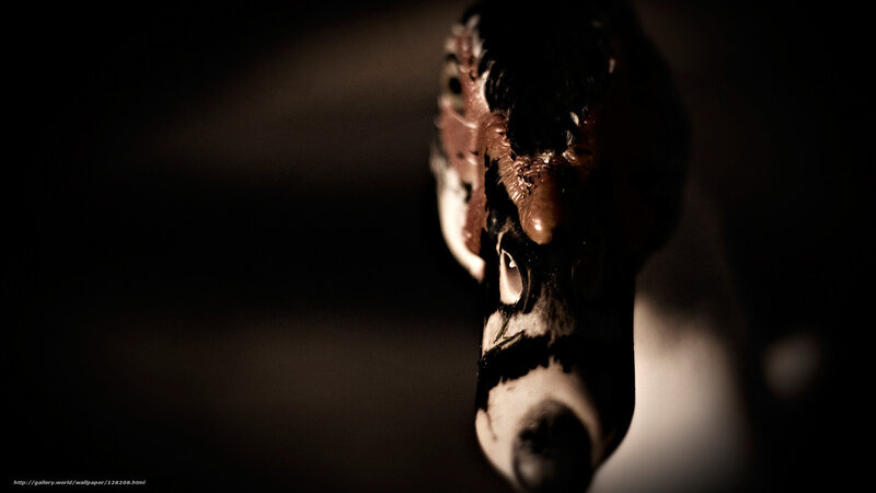 close-up of a duck's head