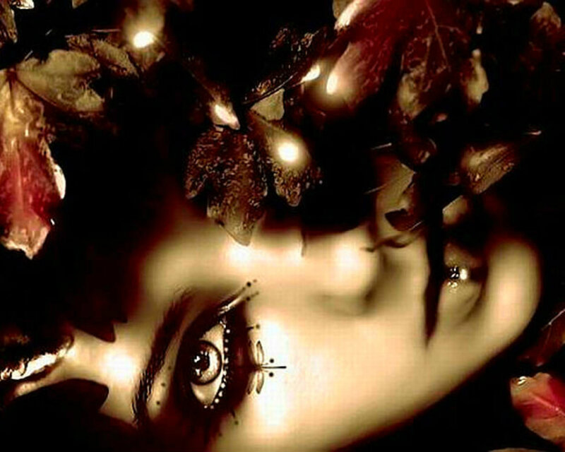Close-up of a Face — Brown