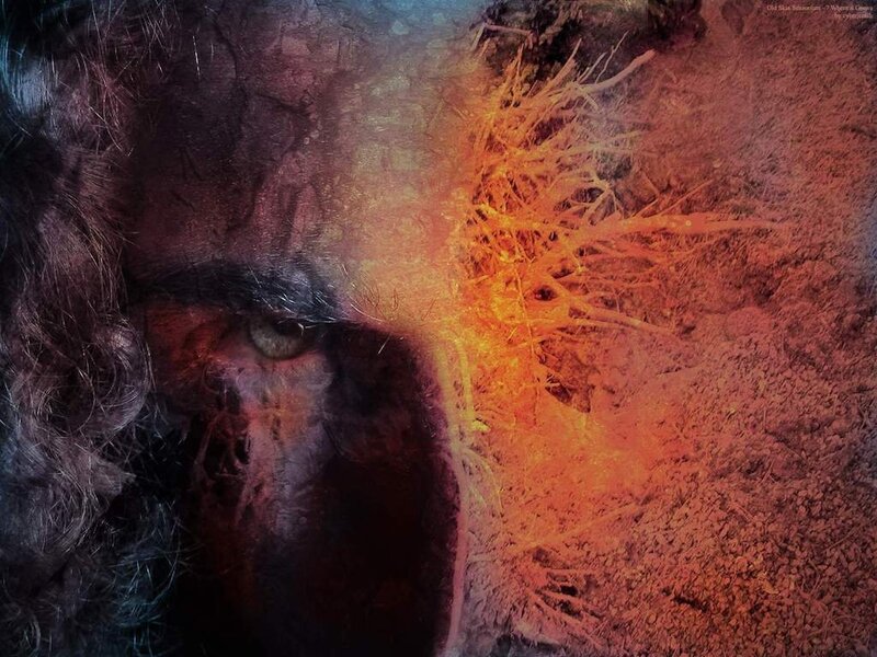 Close-up of a Face — Orange