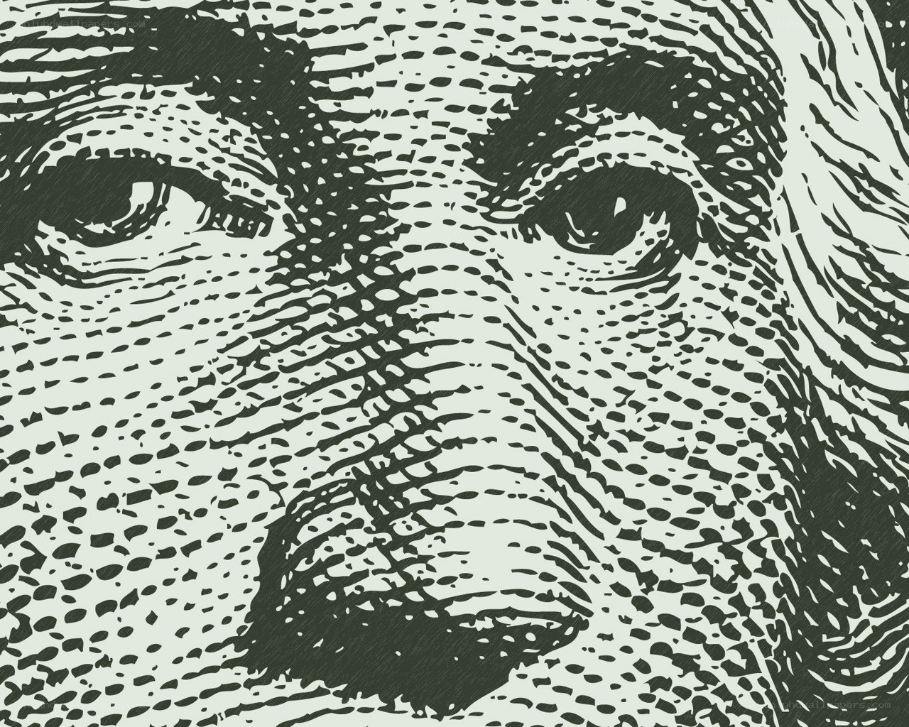 close-up of a face