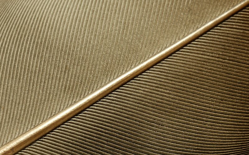 Close-up of a feather texture